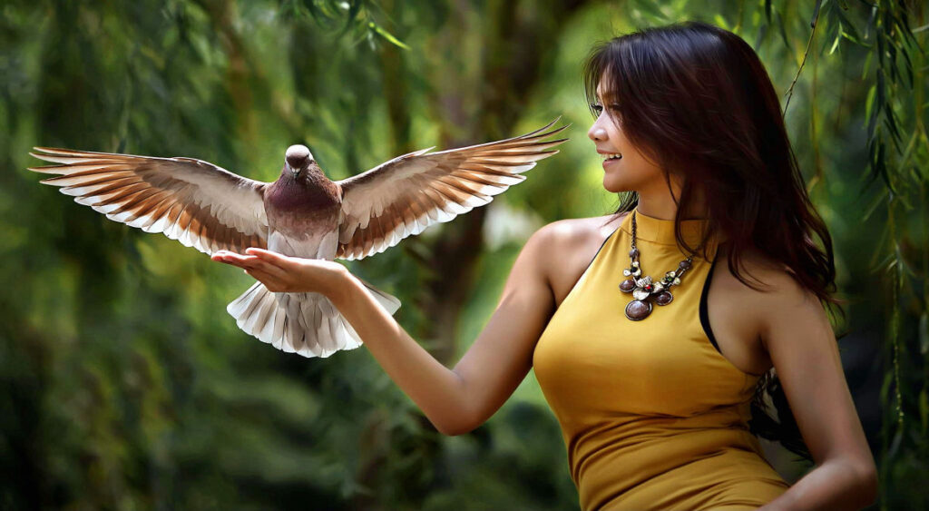 Pigeon Whatsapp Group Links List (JOIN NOW)